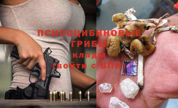 кокс Медвежьегорск