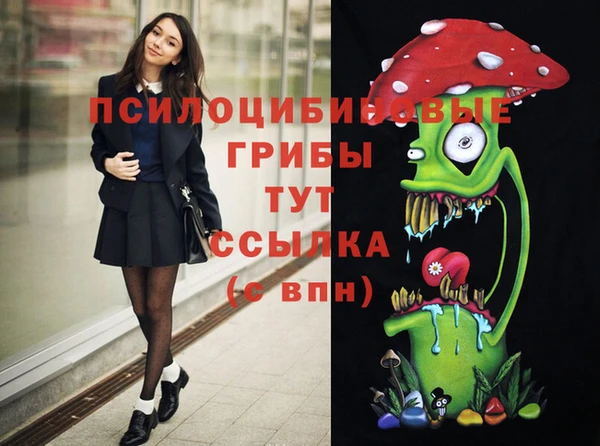 бошки Мегион