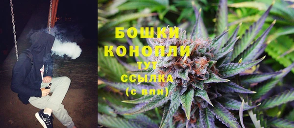 бошки Мегион