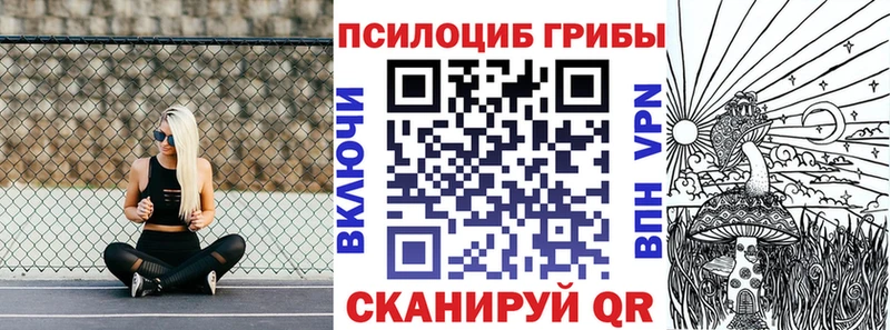 Псилоцибиновые грибы GOLDEN TEACHER  купить наркоту  Волоколамск 
