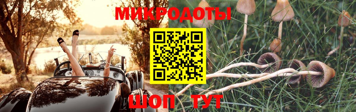 купить наркотик  Псилоцибиновые грибы мицелий  Вход с VPN  Волоколамск  Псилоцибиновые грибы мицелий 